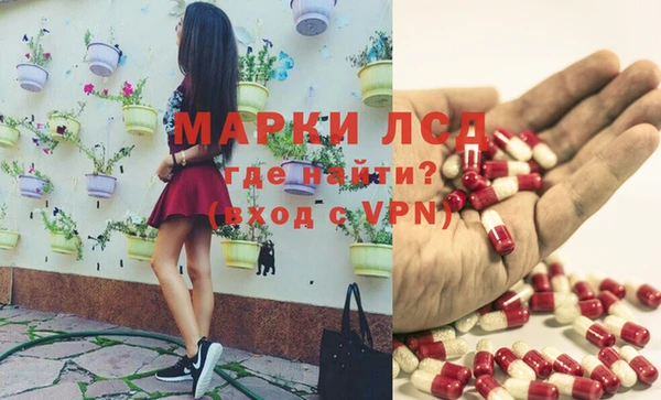apvp Нея